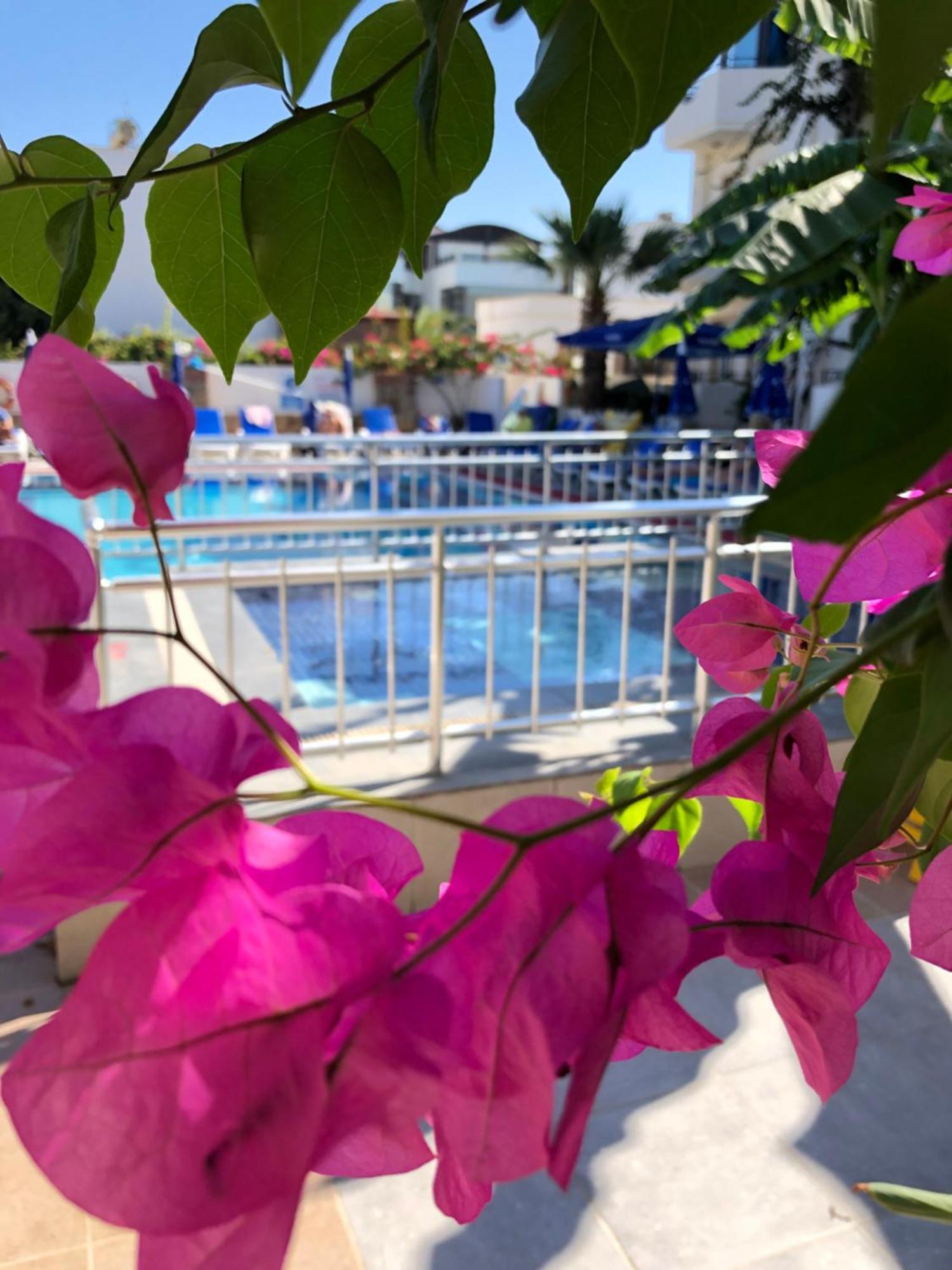 Palmiye Apart Otel Bodrum 외부 사진
